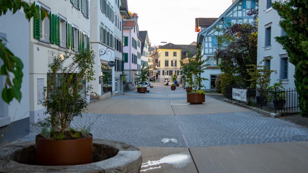 Fahren in Richterswil